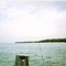Pescando