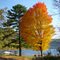 DSC03483 Devil's Lake Foliage - SE view