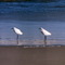 beira do mar no inverno