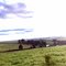 Campo Novo RS