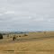 Paisagem Rural - Rodovia RS 210 - São Martinho - RS