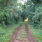 Reserva São Camilo