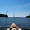Lake Conroe Stubble