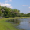 bay in pantanal