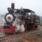 Locomotiva Maria Fumaça / Rio do Sul/SC. O pai desta genial invenção é o inglês George Stephenson. Este inglês, mecânico nas minas de Killingworth, construiu a sua primeira locomotiva em 1814,a quem chamou Blucher. A Blucher, que se destinava ao transporte dos materiais da mina, conseguiu puxar uma carga equivalente a 30 toneladas, à velocidade de 6 quilómetros por hora. Conheça o Blog do Bairro. Acesse: http://campograndesantos.wordpress.com/