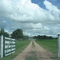 Fazenda no Pantanal proximo de corumba