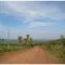 Saida da Estrada Parque - Corumba - Ms