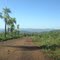 Estrada Parque Pantanal Sul, Patrimônio Natural da Humanidade - MS 228,  - Corumbá - Mato Grosso do Sul - Brasil