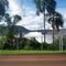 lindo - PR