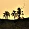 Por do Sol