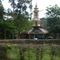 BR-277(Anila)