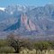Elephant Head - Amado, AZ