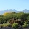 Santa Rita Mountains from Green Valley
