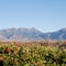 Mt. Wrightson - Feb 2008