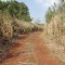 06.10.2012 - Mgá a região de Aquidaban e São Luiz em Marialva.