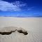 Dunas - Mostardas - RS - Brasil