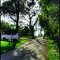 Rua em meio ao verde • Sunriser