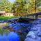 Shelter and Creek at Townsend Park I