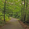Shannen Park