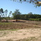 Mineração Santa Clara