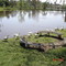 Parque Centenário