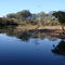 Lago no Parque Zoológico do Rio Grande do Sul - jul/2009