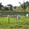 Chácara - Neo Park