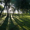 Mato, 01/01/08