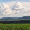 Cana-de-açúcar & relevo residual / quebra de relevo (transição Planalto Ocidental - Cuestas - Depressão Periférica) - paisagem entre São Carlos e Rio Claro, SP, Brasil.