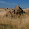 Sutter Buttes Residents