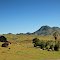 View E from westside barn