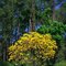 Cores da Natureza