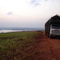 a cana no vale do Tietê (Itapuí, SP)