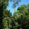 Peroba Estancia Ferraz