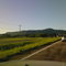 Morro da Borússia
