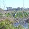 Sandhills Revisited