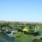 Frog's Eye View