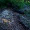 creek washout