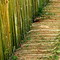CERCA DE BAMBU