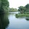 lago