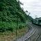 Curitiba to Paranagua on Train Brazil
