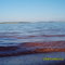 Represa de Capivara
