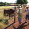 Fazenda-João Alberto- em Piraporã