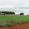 Plantação de milho e instalações para suinocultura - Distrito de Santa Terezinha - Itaporã - Mato Grosso do Sul - Brasil