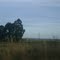 PARANÁ-BRASIL