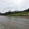 Rio Amônia