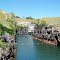 Lake Lanier Outflow Channel & Buford Dam Powerhouse