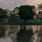 Lacustre park
