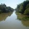 Pantanal MS ) Rio Taboco (Em Cima Da Ponte)