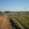 Pantanal MS ) Retiro Sta Tereza (Chegada)